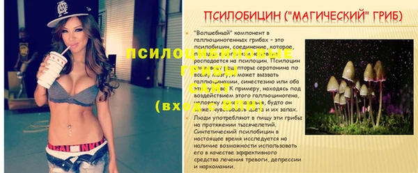 круглые Ладушкин
