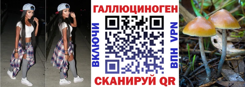 Галлюциногенные грибы прущие грибы  Купить  Шуя 