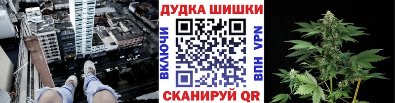 Конопля MAZAR  Купить где  Шуя 